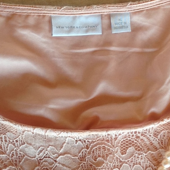 Reposh- NY & Co. Blush Lace shift dress, EUC, XL - Picture 2 of 5